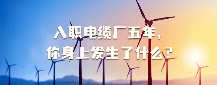 入職電纜廠五年，你身上發(fā)生了哪些變化~